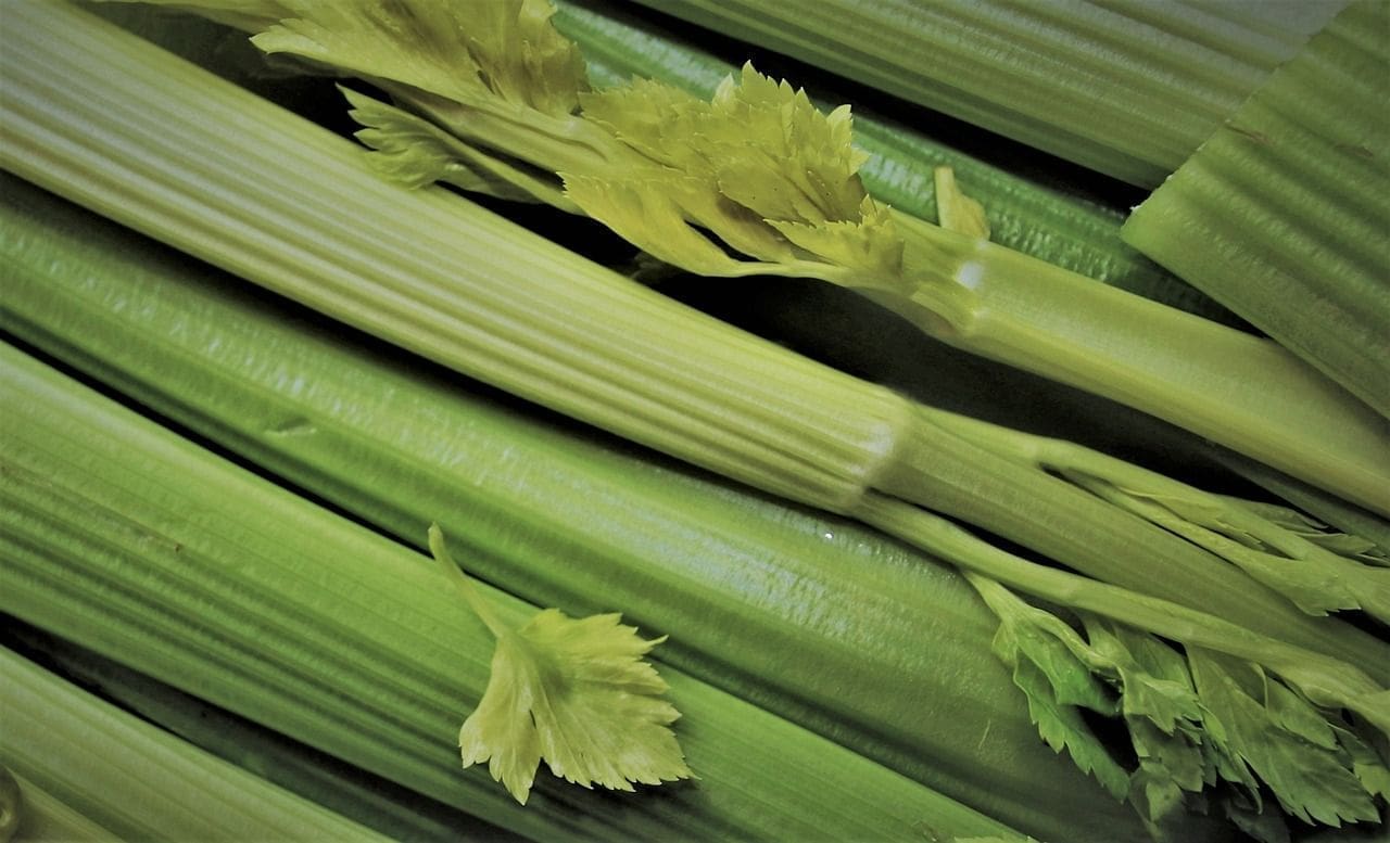 A close up of some celery sticks and leaves